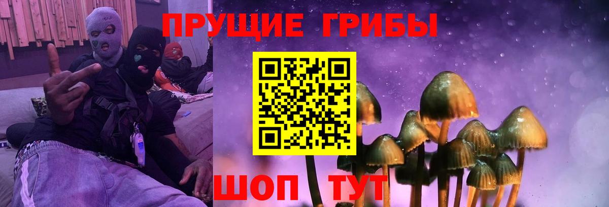 Псилоцибиновые грибы Cubensis Гурьевск