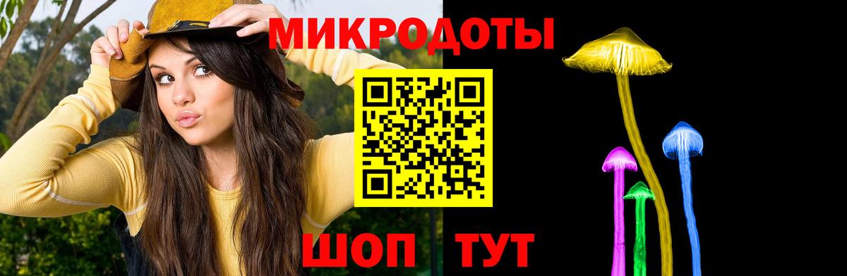 Гурьевск  Галлюциногенные грибы GOLDEN TEACHER  Вход с VPN  Галлюциногенные грибы Psilocybe 